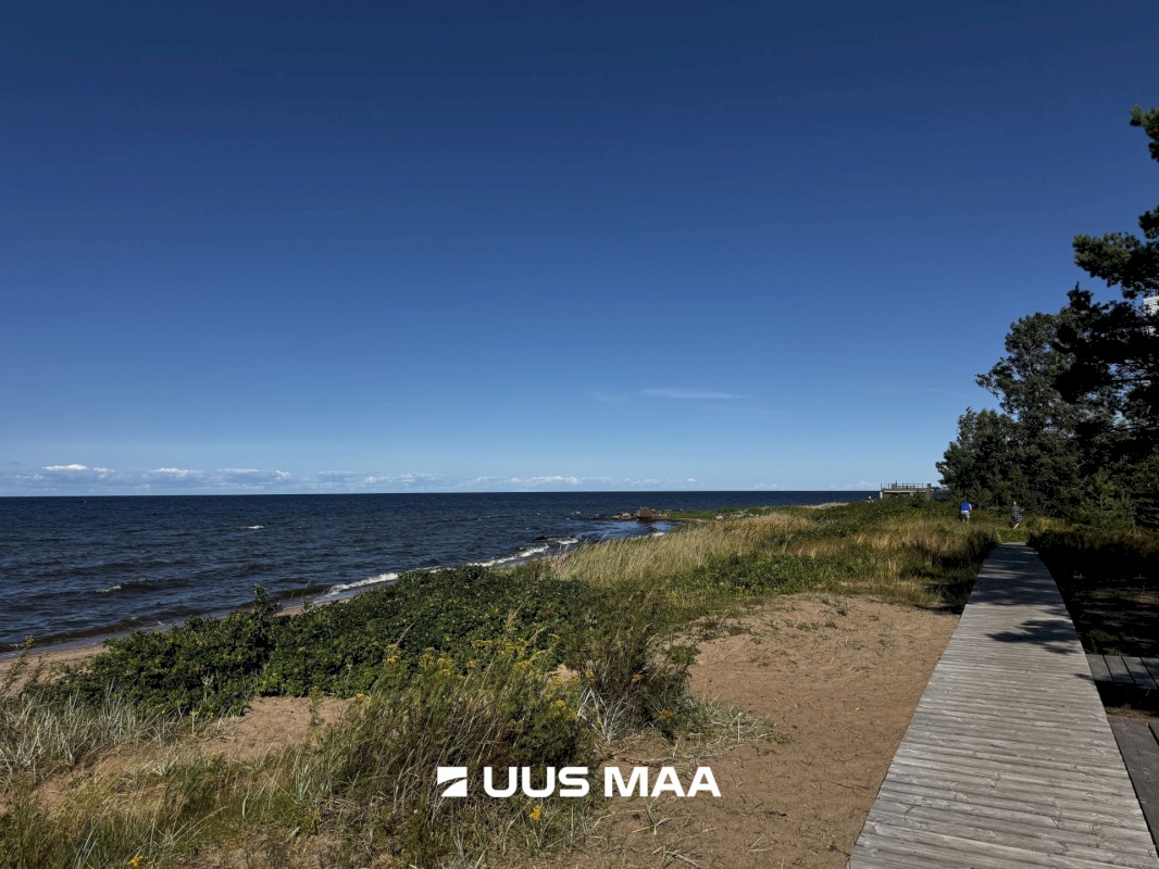 Haljala vald, Vainupea küla, Toominga