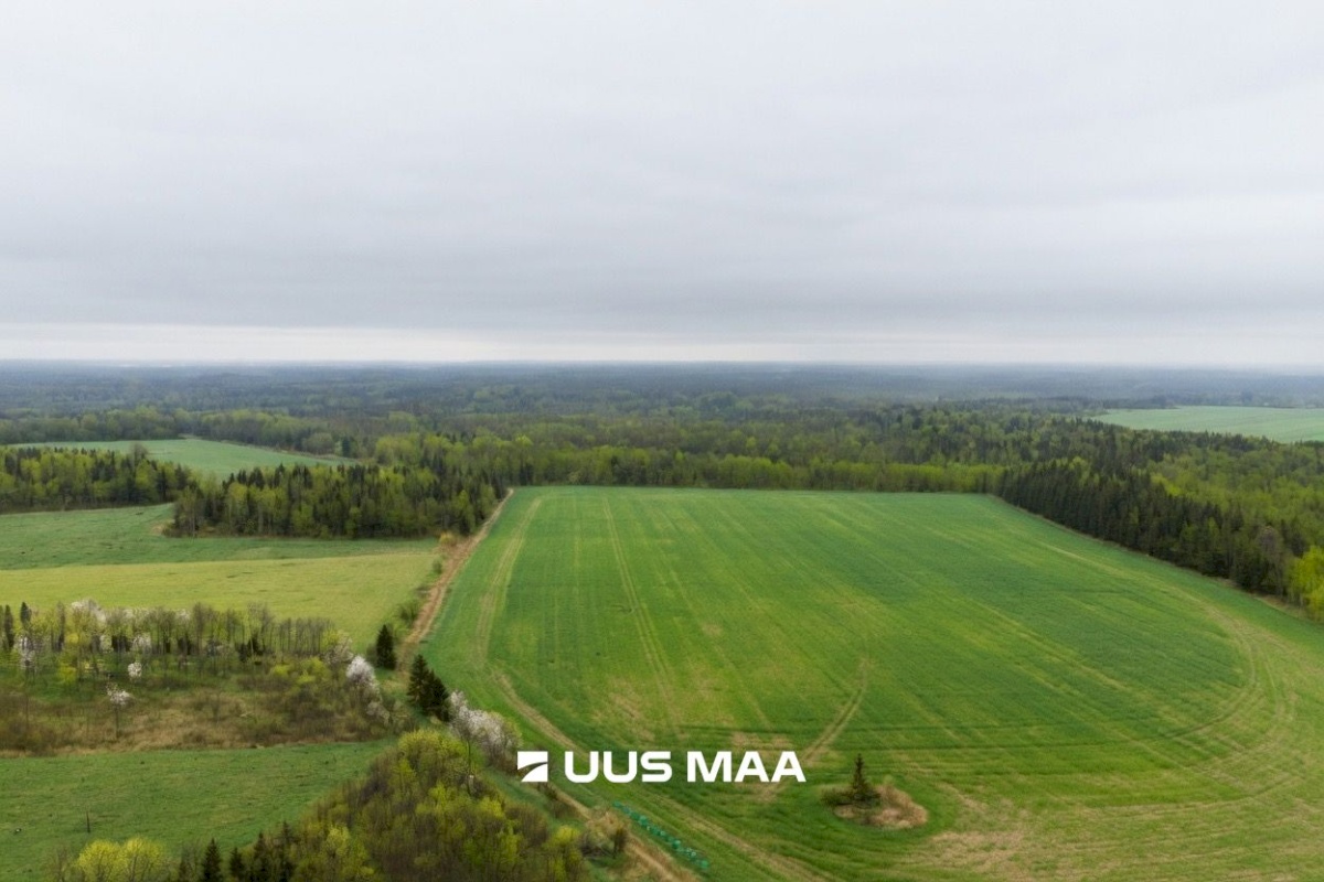 Saue vald, Lehetu küla, Jõetaguse