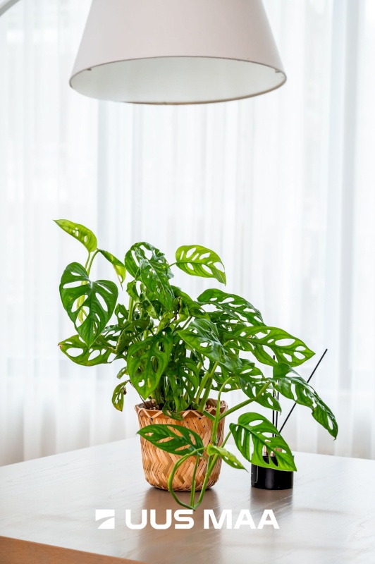 Tallinn, Kesklinna linnaosa, Poordi 1