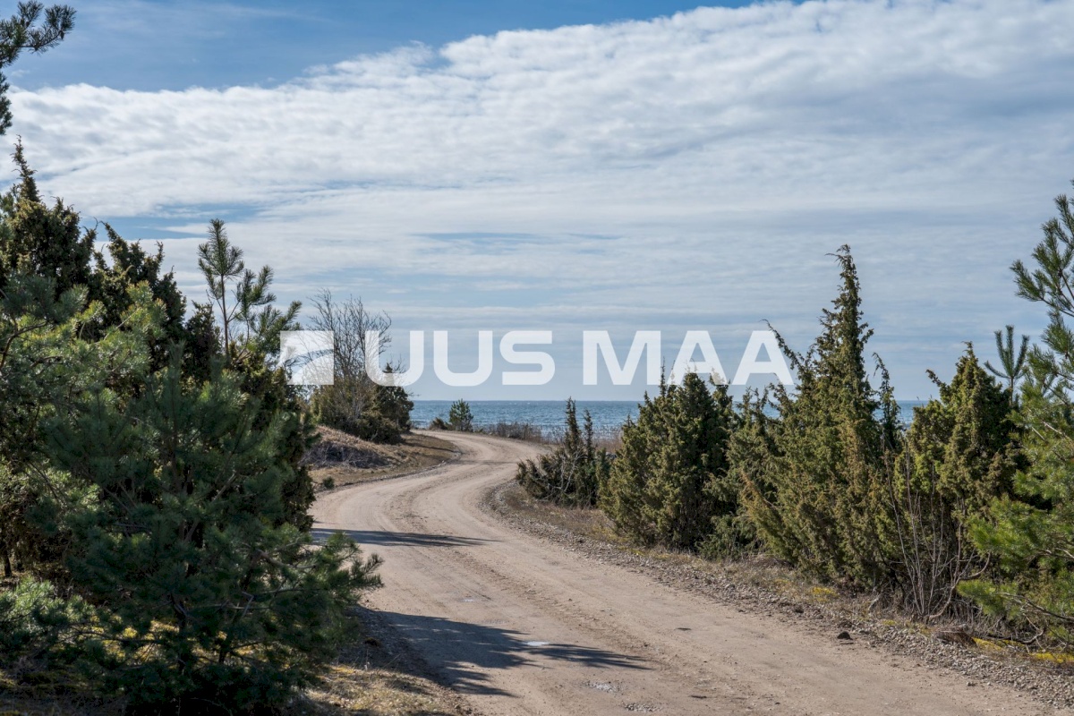 Hiiumaa vald, Tohvri küla, Luigepesa