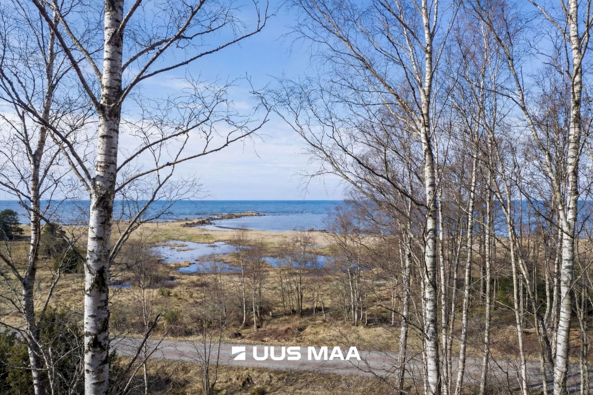 Hiiumaa vald, Tohvri küla, Luigepesa