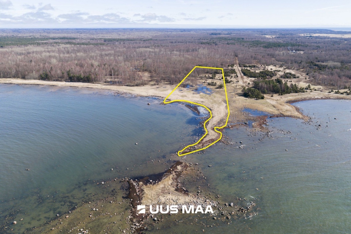 Hiiumaa vald, Tohvri küla, Luigepesa