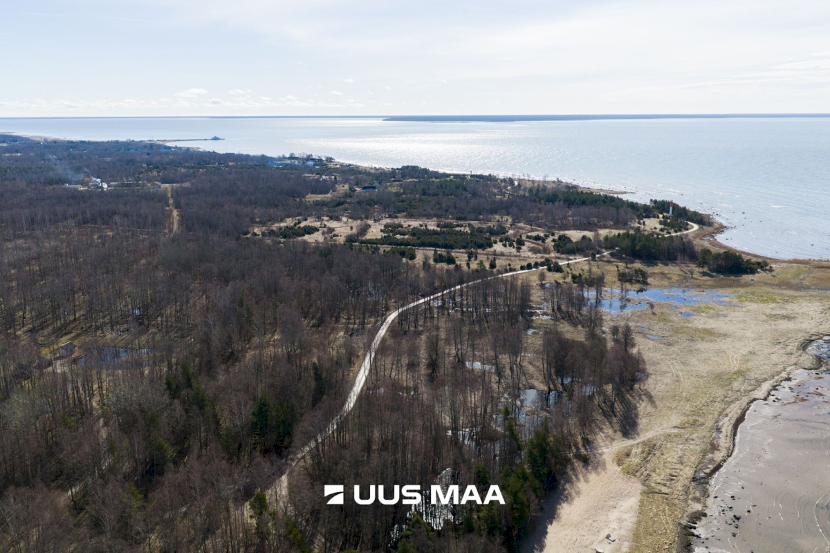 Hiiumaa vald, Tohvri küla, Luigepesa