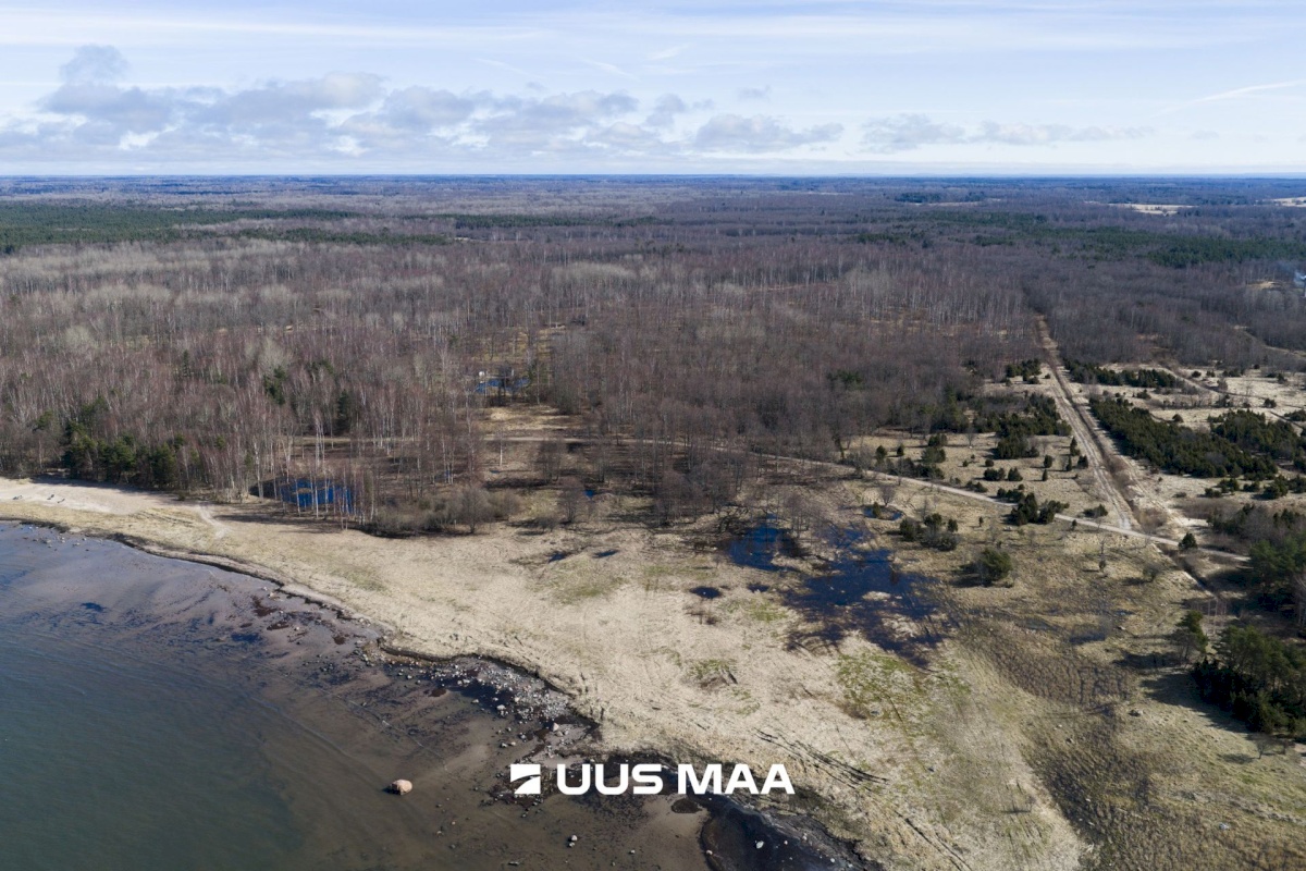 Hiiumaa vald, Tohvri küla, Luigepesa