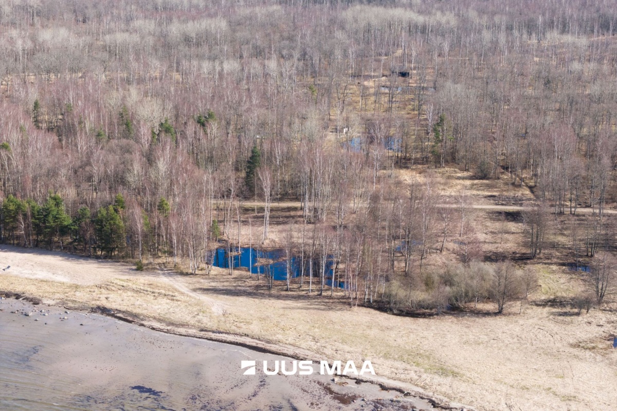 Hiiumaa vald, Tohvri küla, Luigepesa