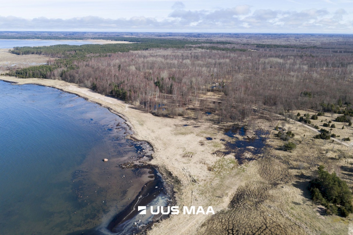 Hiiumaa vald, Tohvri küla, Luigepesa