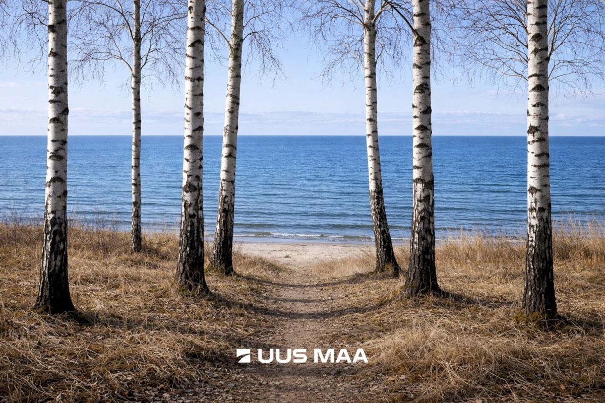 Hiiumaa vald, Tohvri küla, Luigepesa