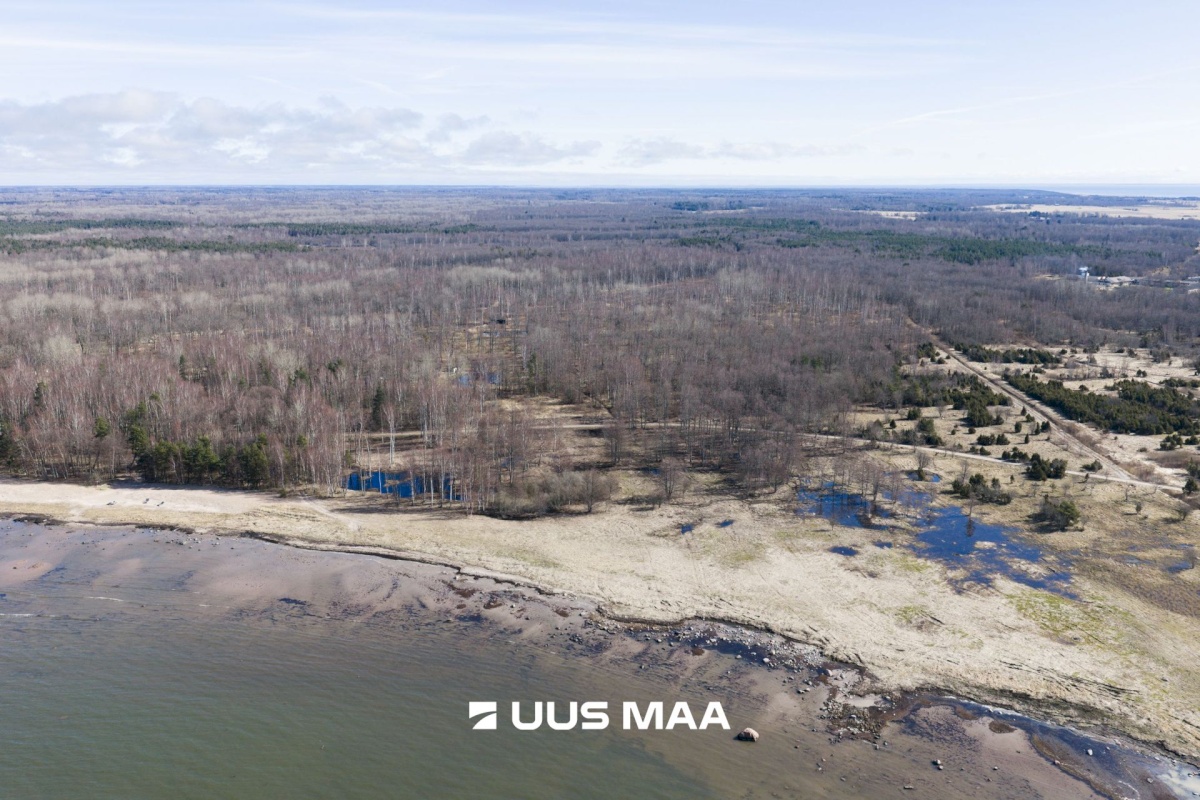 Hiiumaa vald, Tohvri küla, Luigepesa