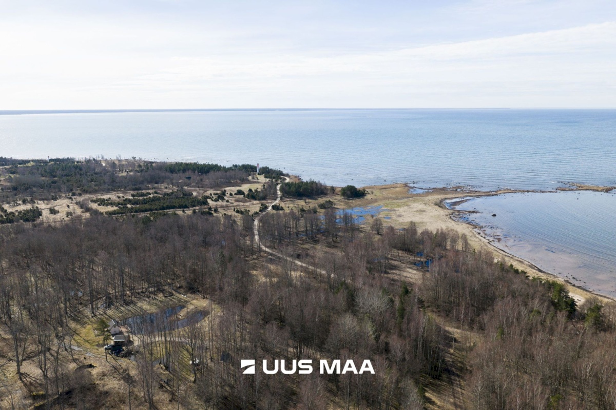 Hiiumaa vald, Tohvri küla, Luigepesa