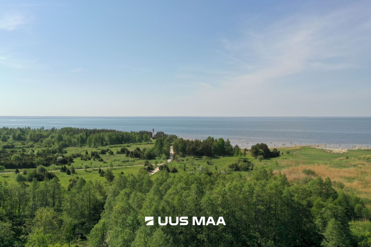 Hiiumaa vald, Tohvri küla, Luigepesa