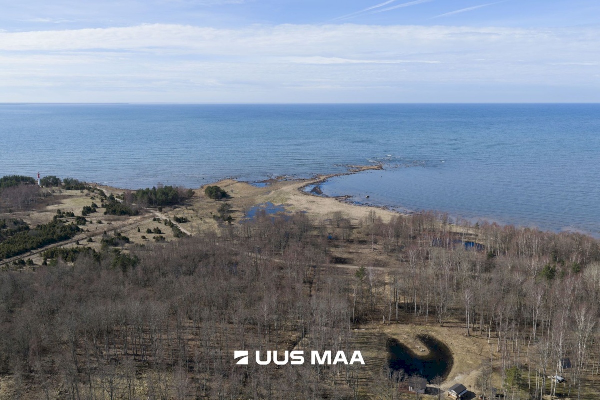 Hiiumaa vald, Tohvri küla, Luigepesa