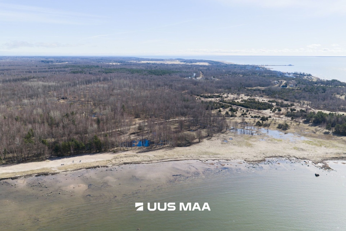 Hiiumaa vald, Tohvri küla, Luigepesa