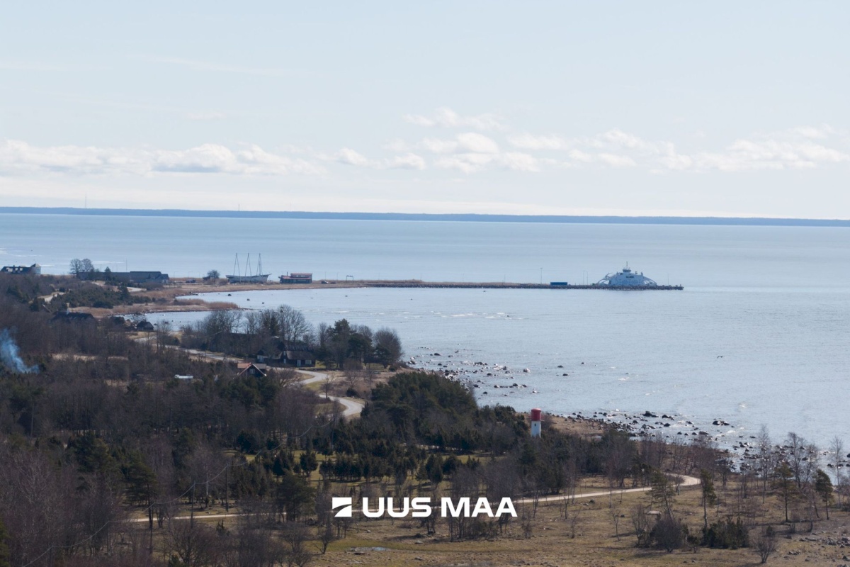 Hiiumaa vald, Tohvri küla, Luigepesa