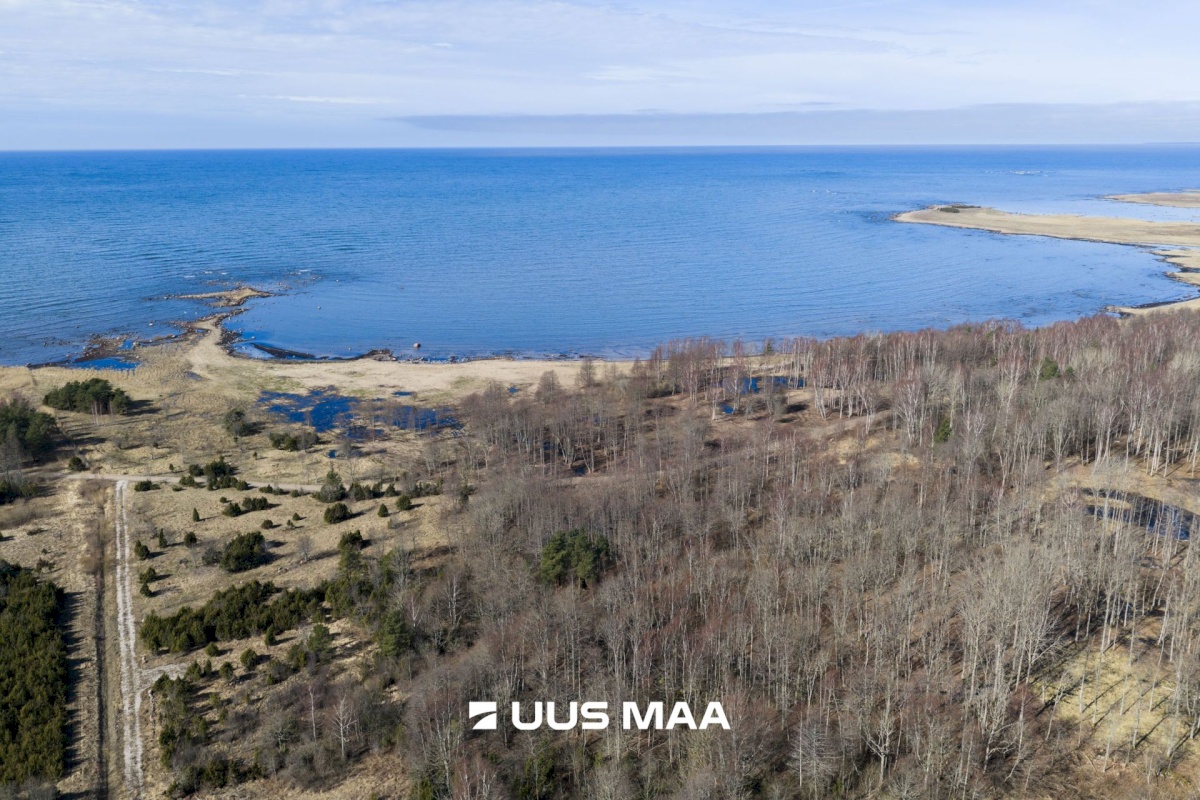 Hiiumaa vald, Tohvri küla, Luigepesa