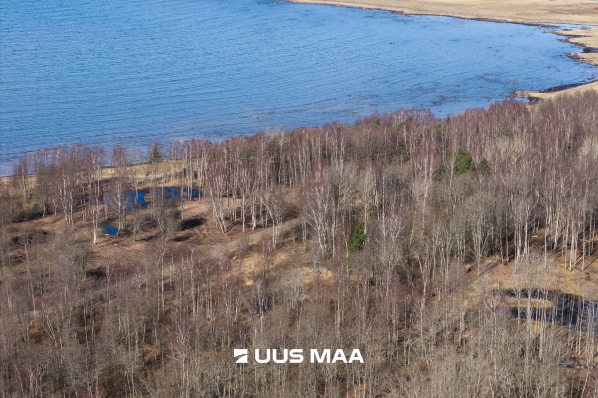 Hiiumaa vald, Tohvri küla, Luigepesa