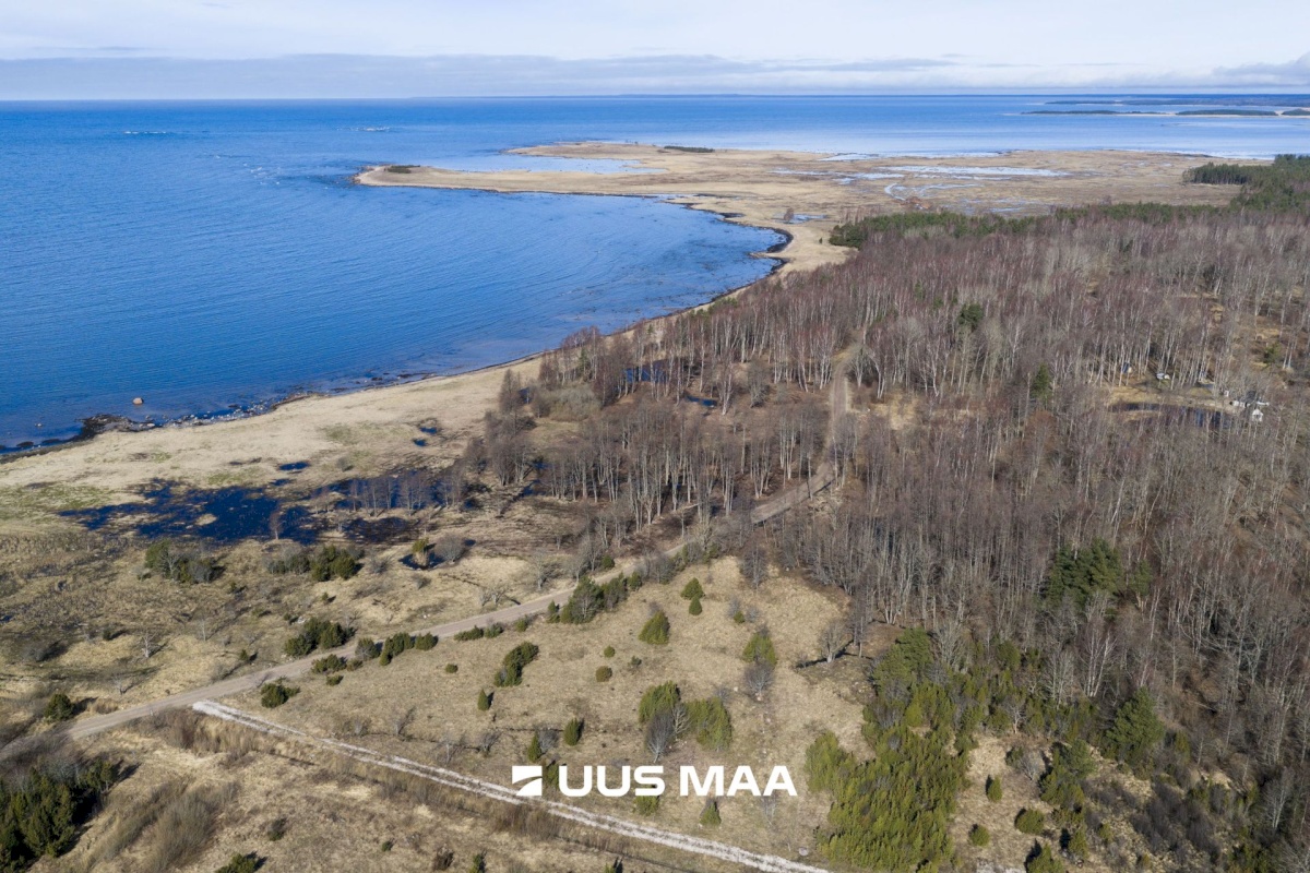 Hiiumaa vald, Tohvri küla, Luigepesa