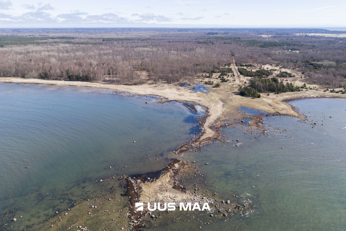 Hiiumaa vald, Tohvri küla, Luigepesa