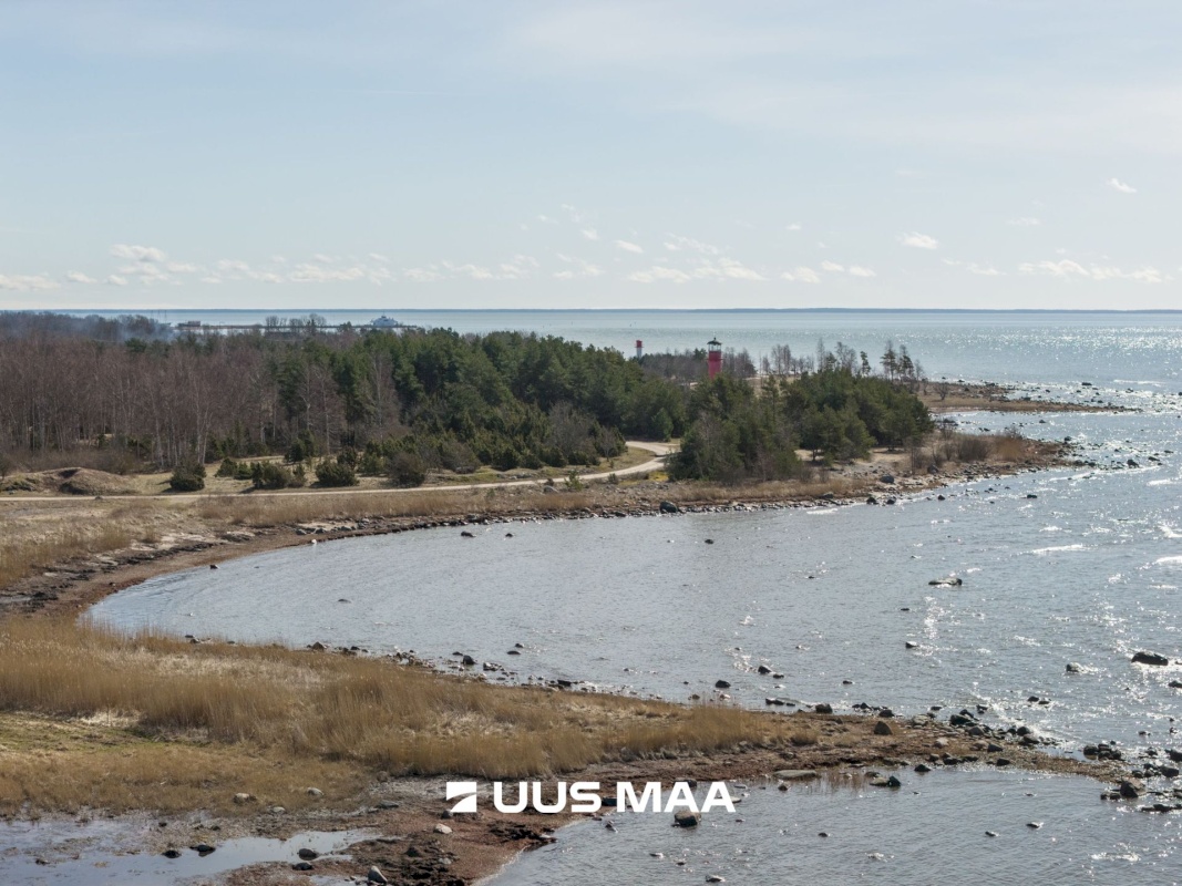 Hiiumaa vald, Tohvri küla, Luigepesa