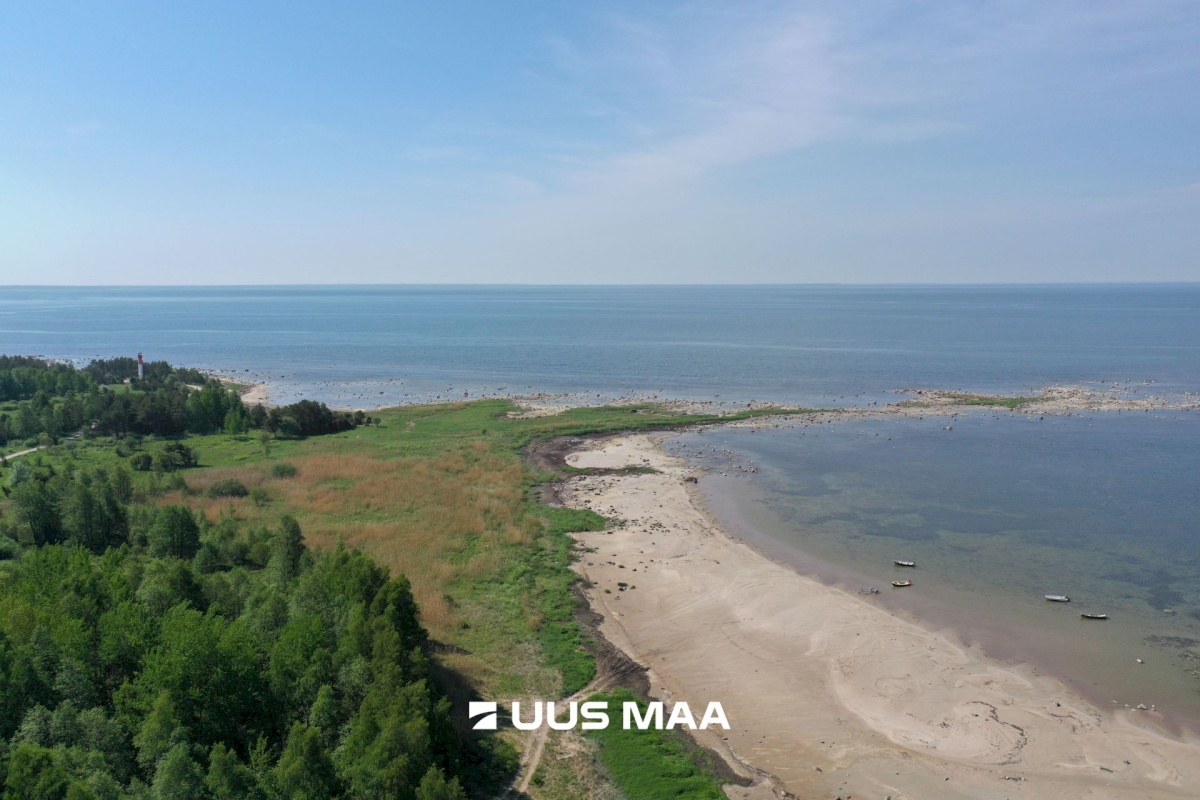 Hiiumaa vald, Tohvri küla, Luigepesa