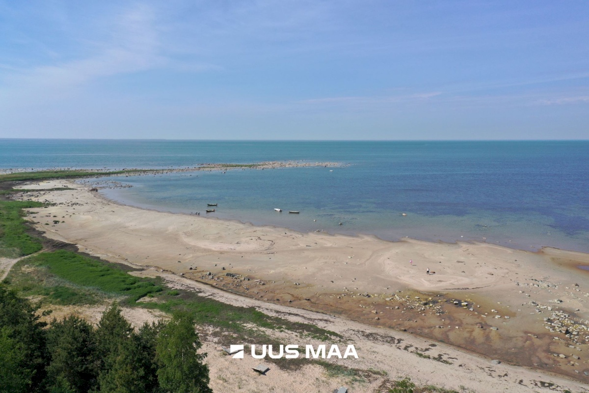 Hiiumaa vald, Tohvri küla, Luigepesa