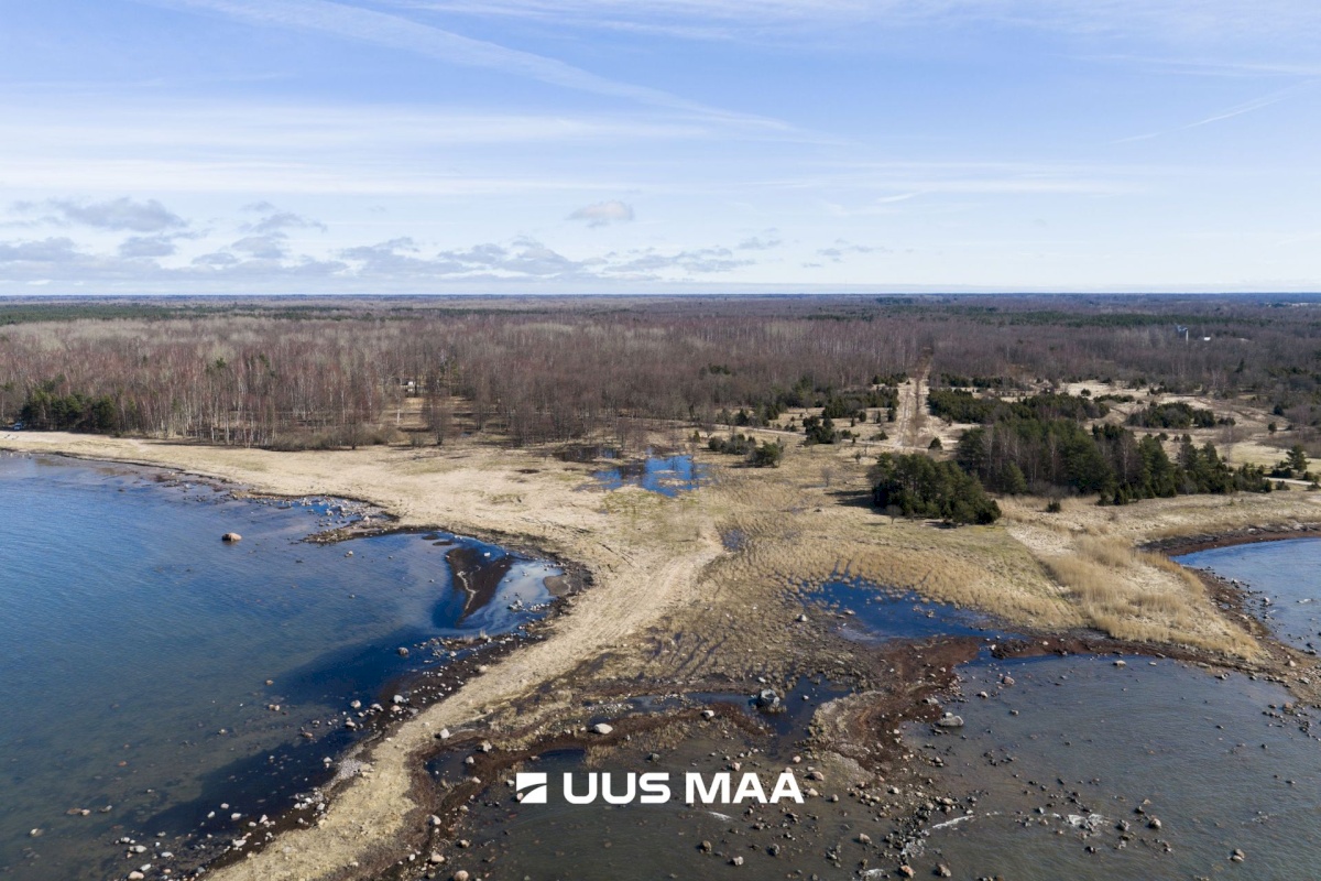 Hiiumaa vald, Tohvri küla, Luigepesa