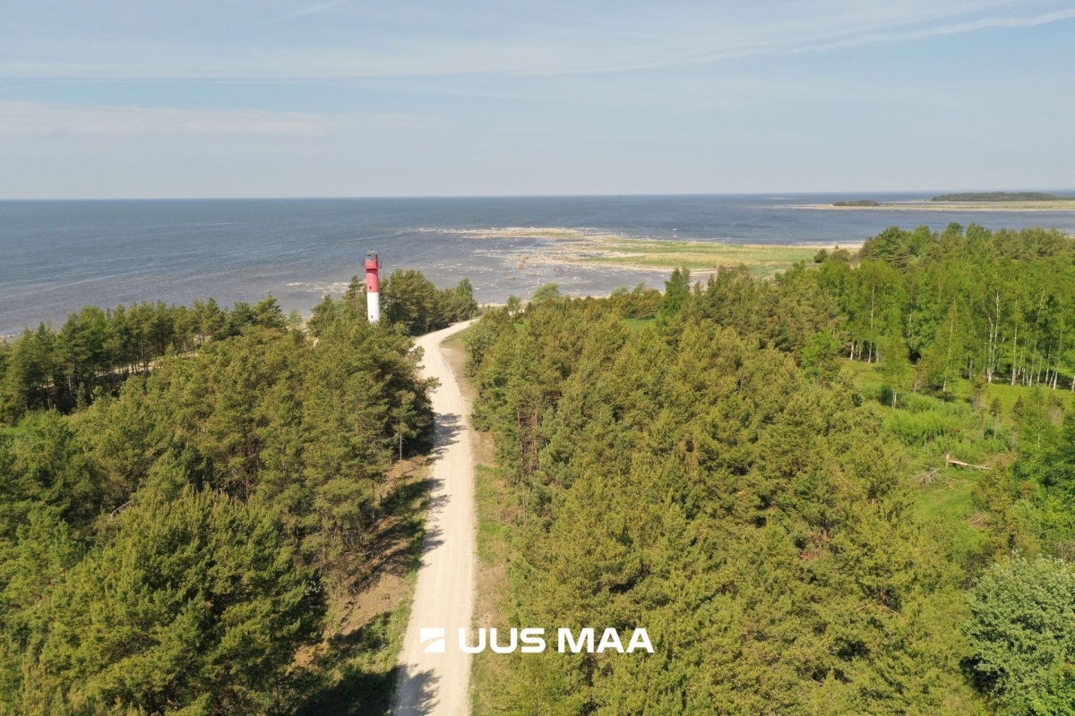 Hiiumaa vald, Tohvri küla, Luigepesa