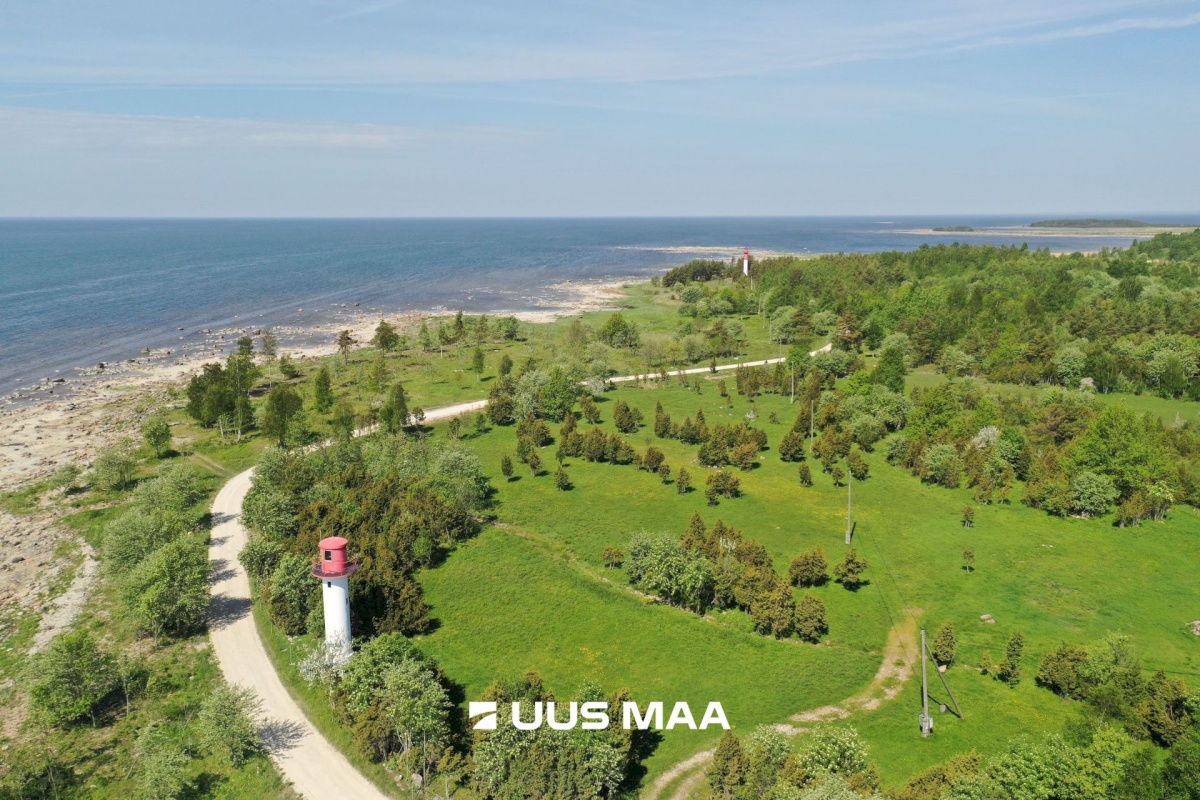 Hiiumaa vald, Tohvri küla, Luigepesa