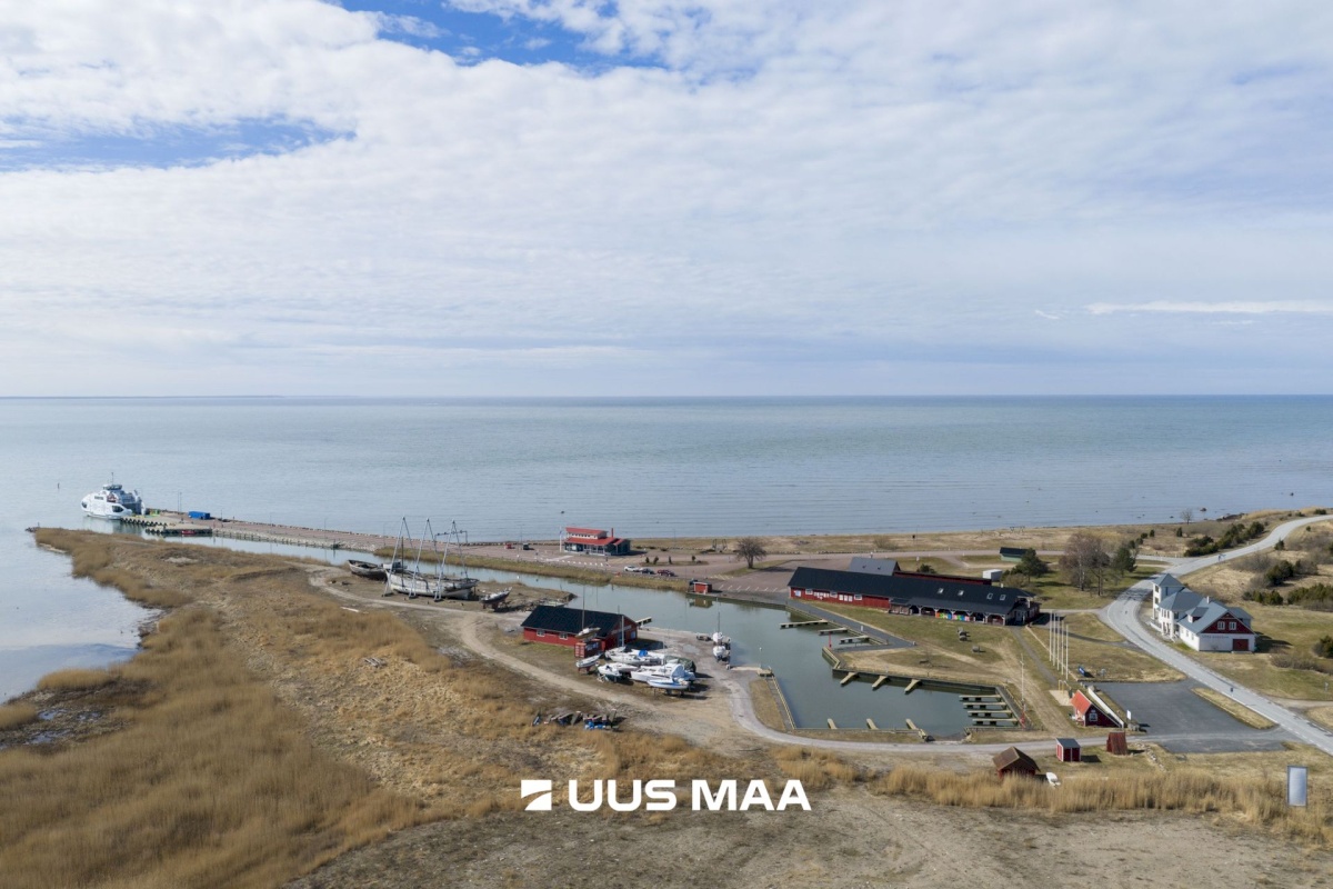 Hiiumaa vald, Tohvri küla, Luigepesa