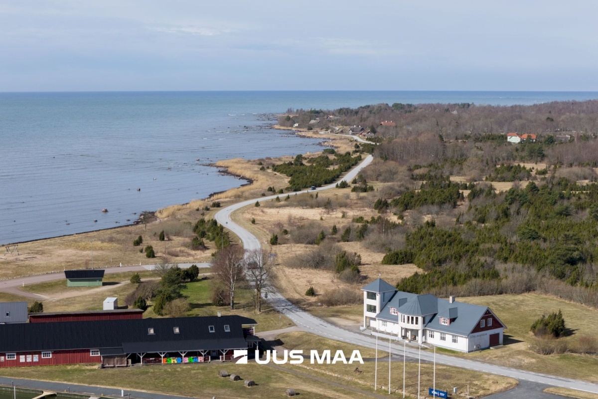 Hiiumaa vald, Tohvri küla, Luigepesa