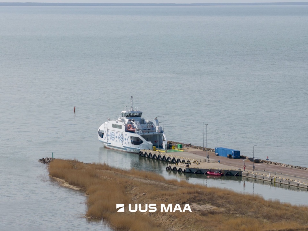 Hiiumaa vald, Tohvri küla, Luigepesa