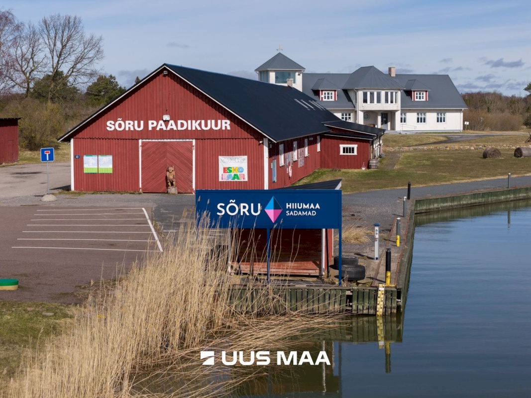 Hiiumaa vald, Tohvri küla, Luigepesa