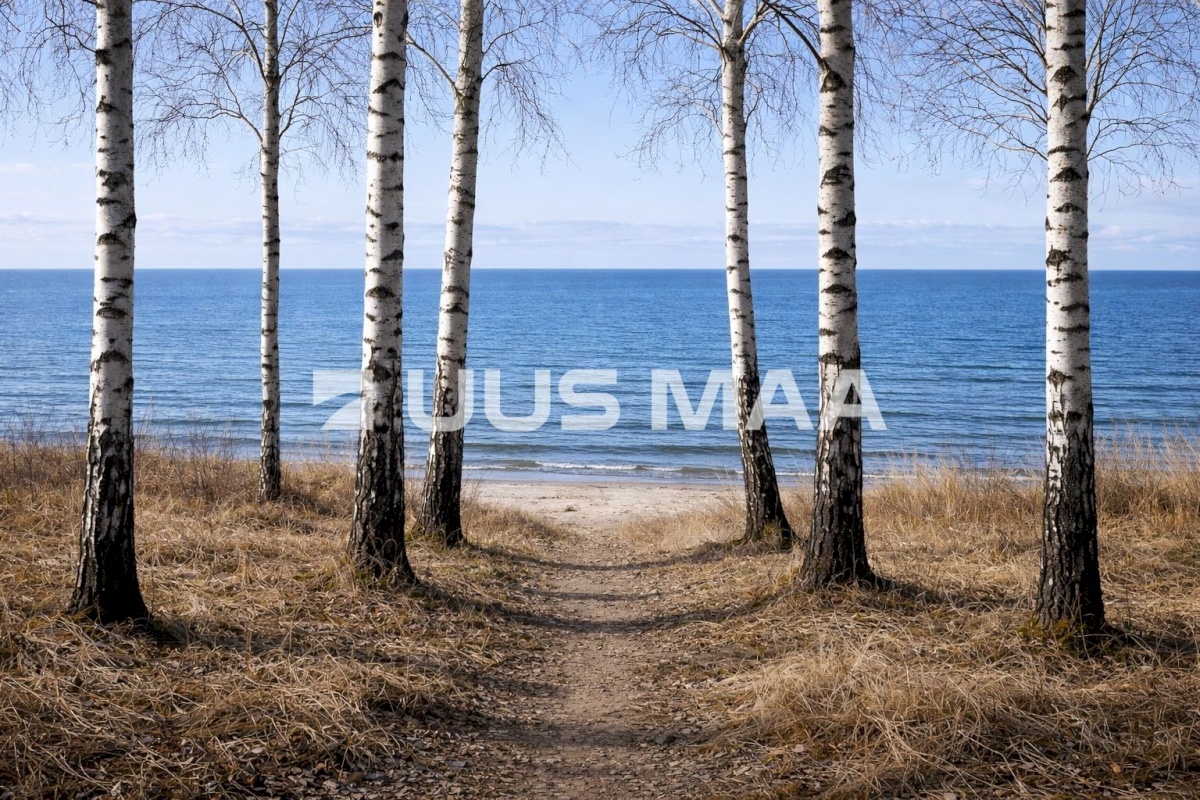 Hiiumaa vald, Tohvri küla, Luigepesa