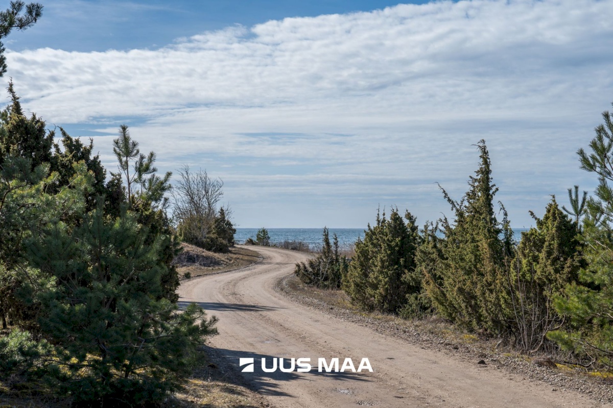 Hiiumaa vald, Tohvri küla, Luigepesa