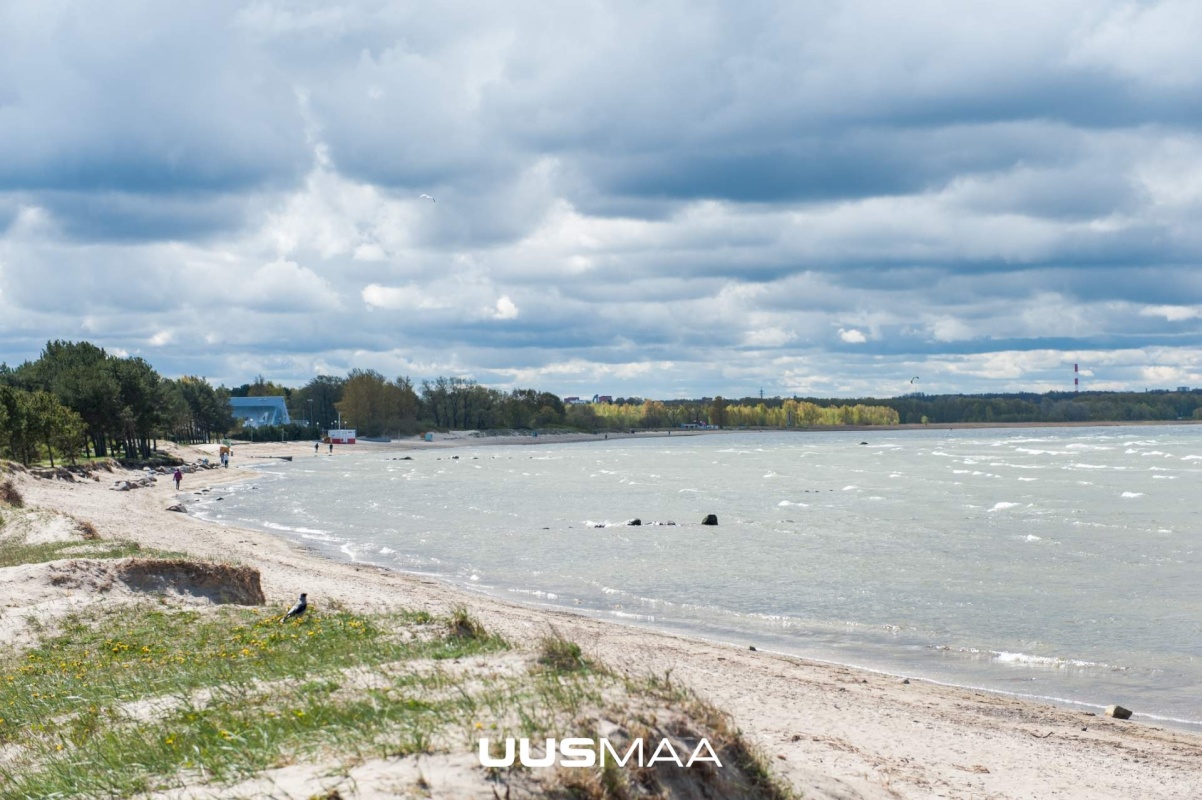 Tallinn, Põhja-Tallinna linnaosa, Pelguranna, Sõle tn 65