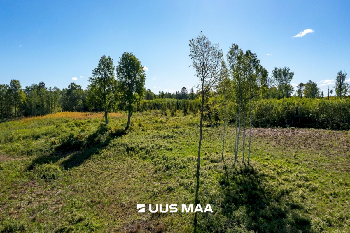Märjamaa vald, Velisemõisa küla