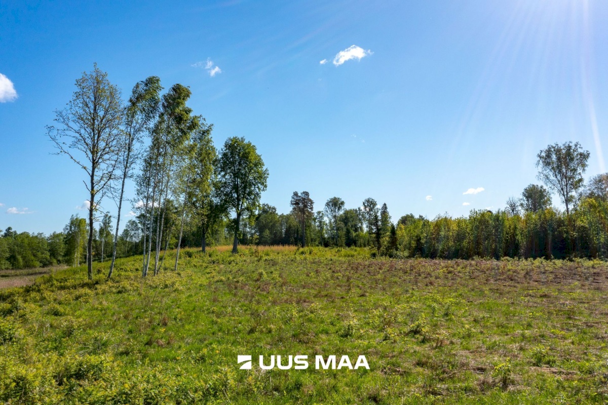 Märjamaa vald, Velisemõisa küla