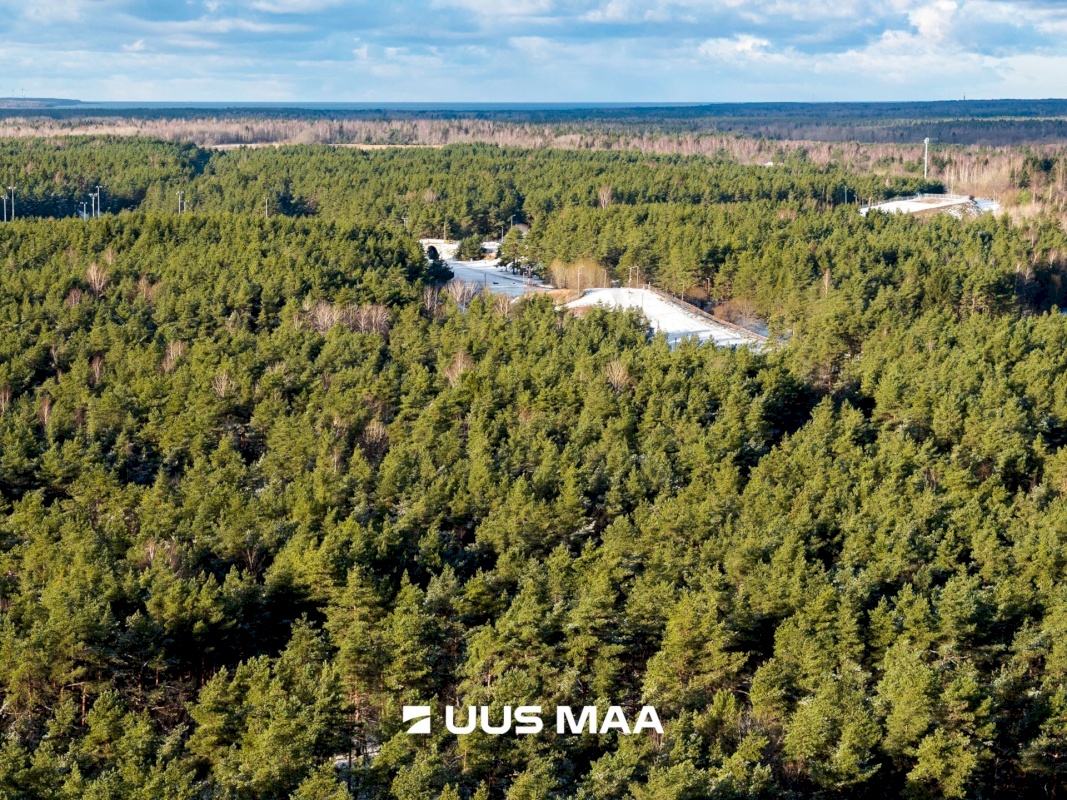 Keila linn, Pargi tn 26c