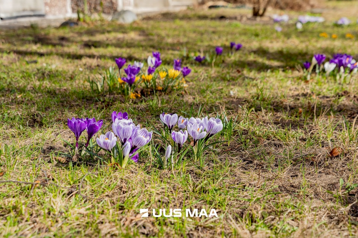 Tallinn, Lasnamäe linnaosa, Paekaare tn 14