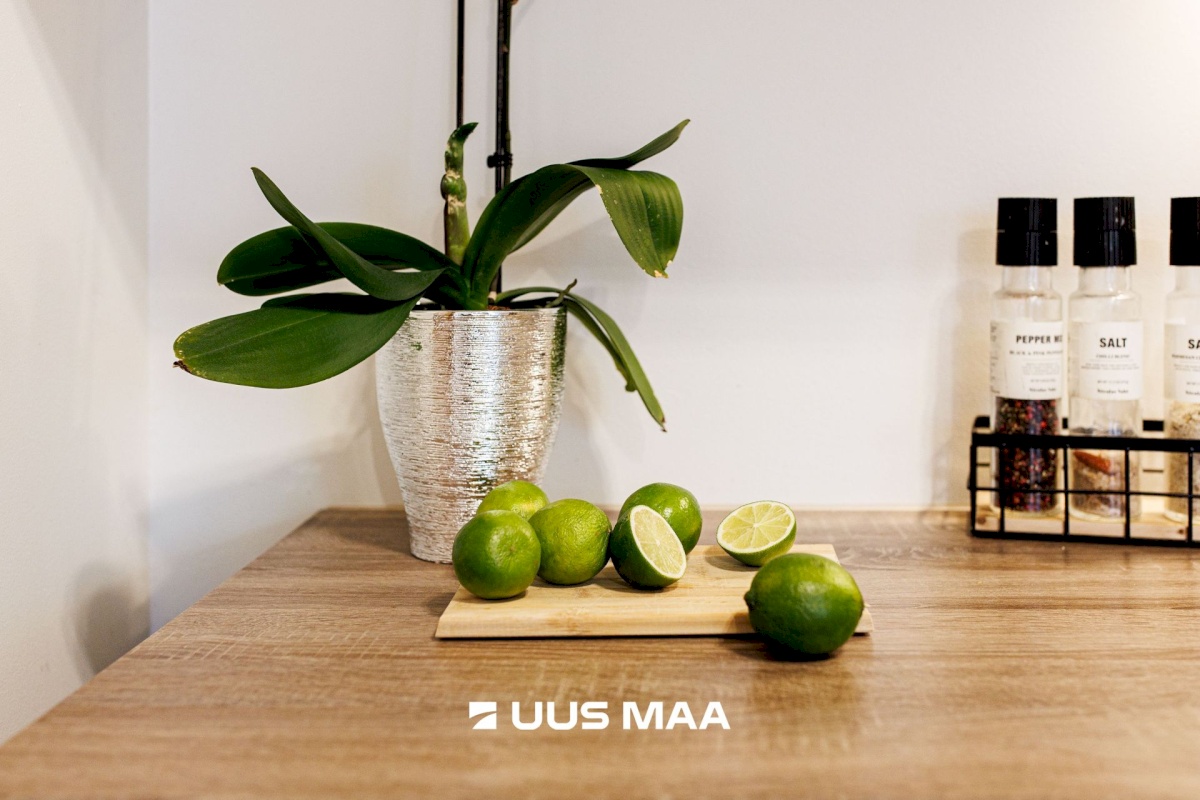 Jõelähtme vald, Loo alevik, Kuusiku tee 18