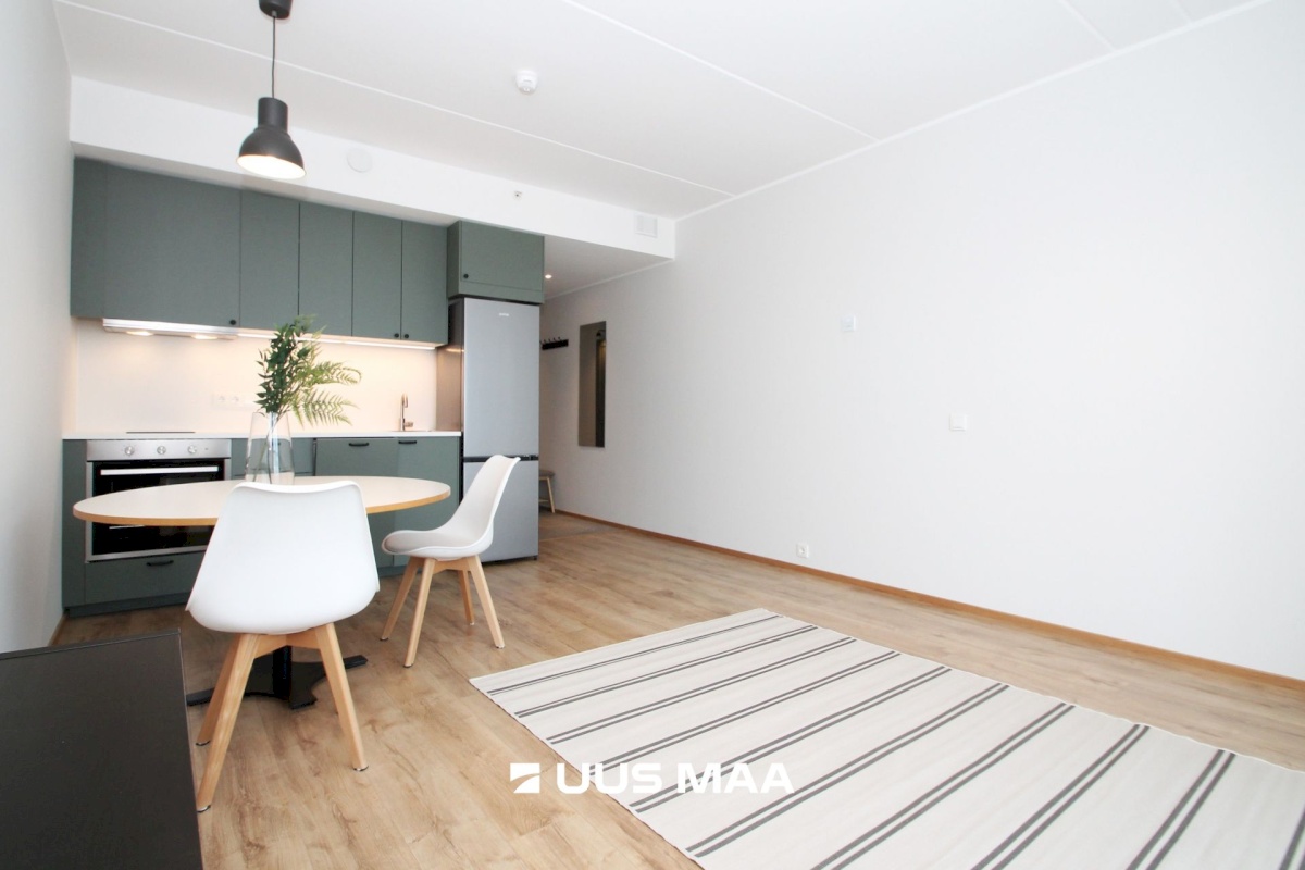 Tallinn, Lasnamäe linnaosa, Viieaia tee 28