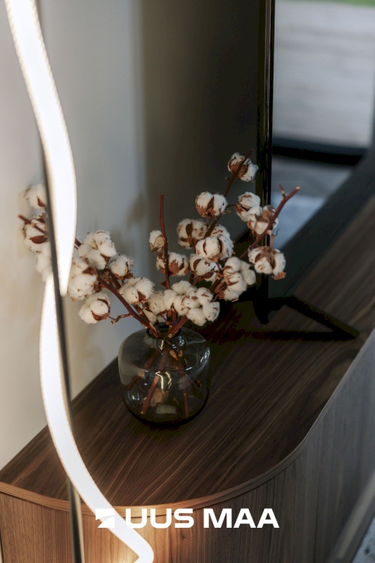 Jõelähtme vald, Manniva küla, Kivikirve tee 9