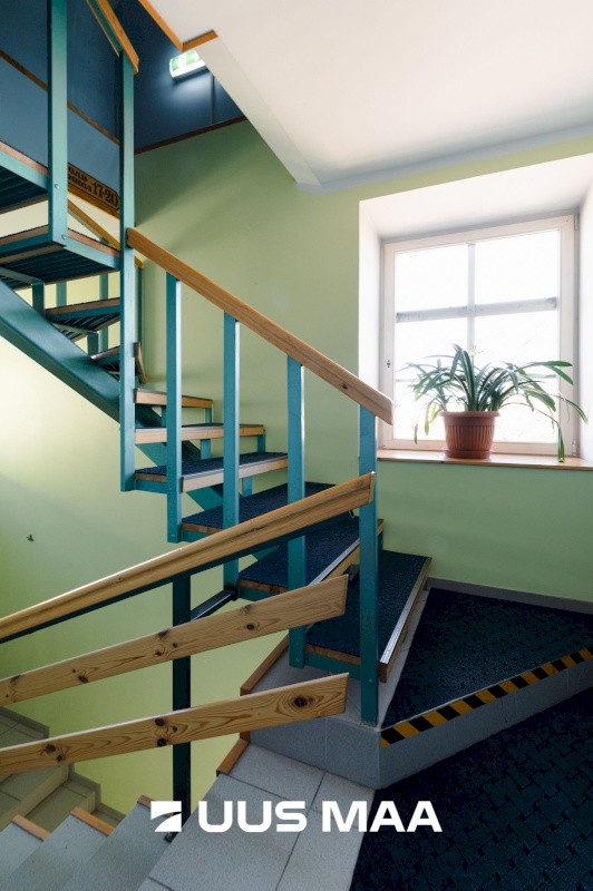 Rakvere linn, Pikk 3