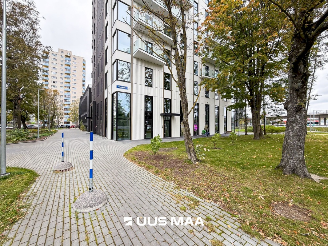 Tallinn, Haabersti linnaosa, Veskimetsa, Päevalille tn 6