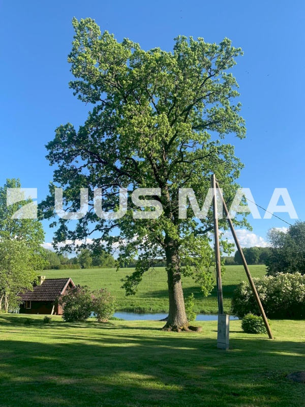 Märjamaa vald, Kirna küla