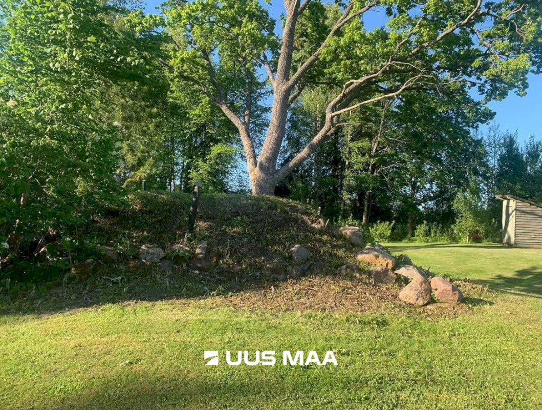 Märjamaa vald, Kirna küla