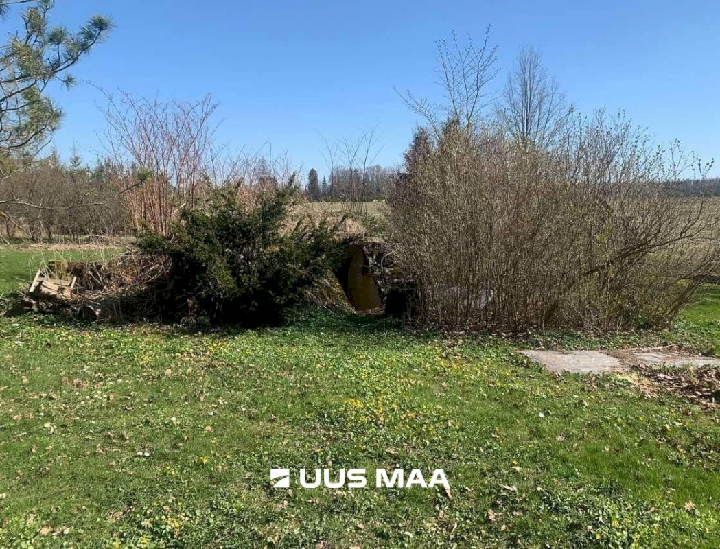 Märjamaa vald, Kirna küla