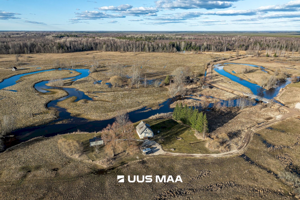 Põhja-Sakala vald, Tipu küla, Tammearu