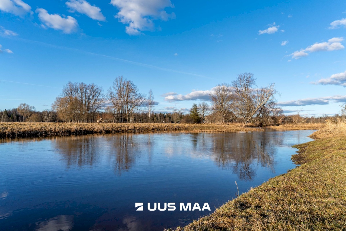 Põhja-Sakala vald, Tipu küla, Tammearu