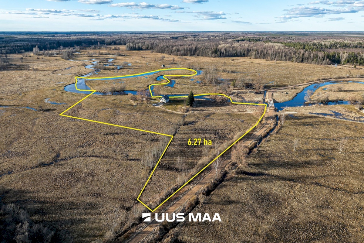 Põhja-Sakala vald, Tipu küla, Tammearu