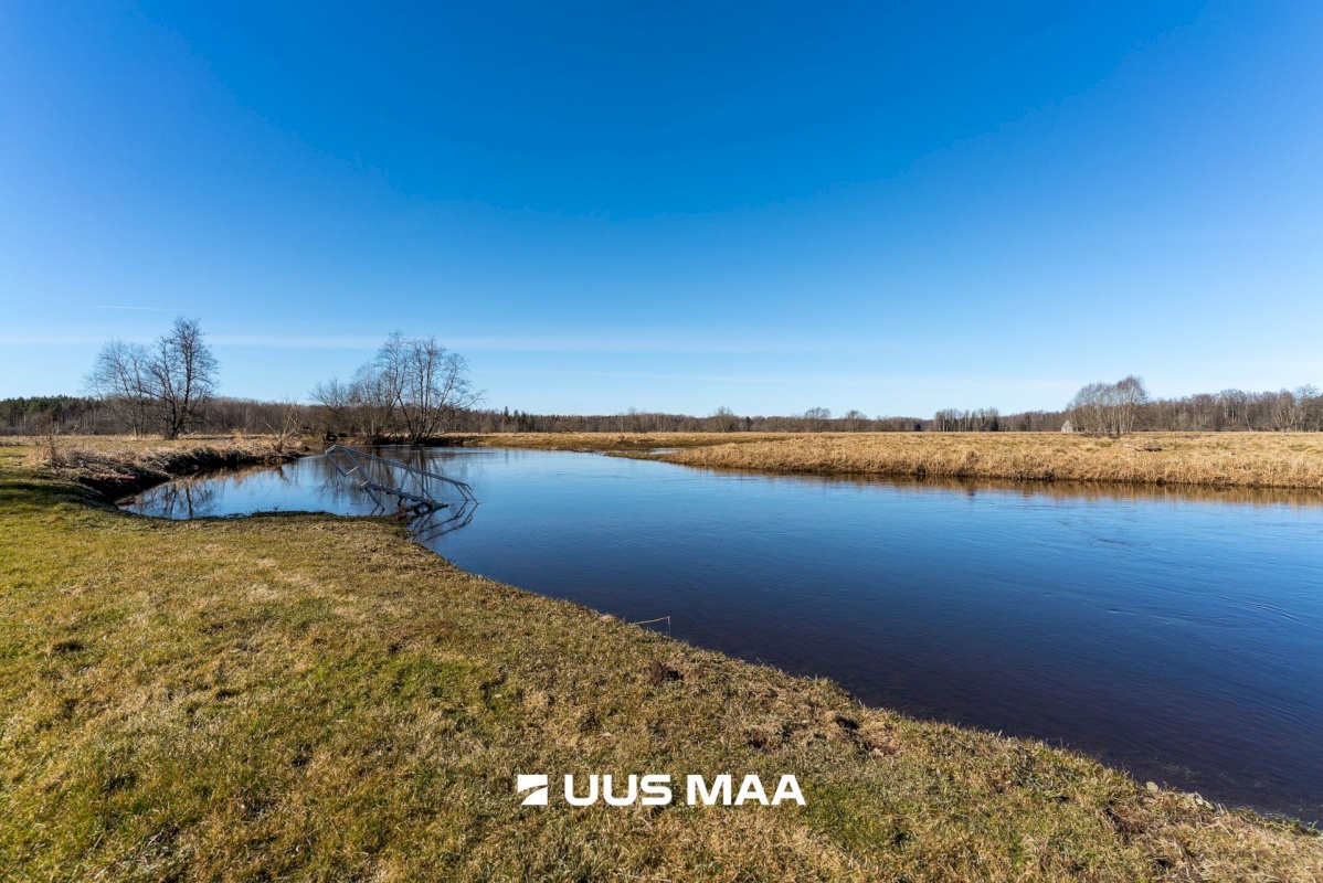 Põhja-Sakala vald, Tipu küla, Tammearu